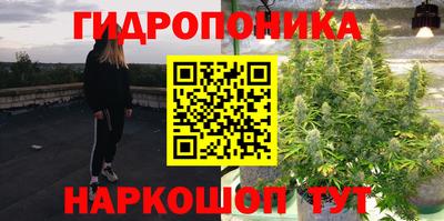 тгк Каменск-Шахтинский