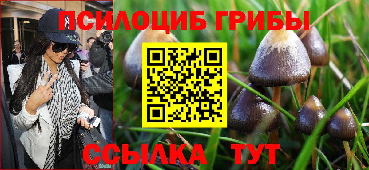 Баксан  Галлюциногенные грибы мухоморы  Вход с VPN 